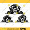 Havanese SVG Silhouettes svg wood vector portrait vinyl shirt design SVG file for laser cnc SVG for Cricut dog clipart Cut file 220 copy
