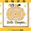 Hello Pumpkin SVG Pumpkin SVG Pumpkin mandala SVG Fall sign svg