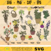 Herbal Studies SVG Bundle Color Plants and Garden Tools Clipart Cricut Cut File Layered by Colors Magical Plants PNG Digital Download