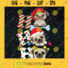 Hhh pug christmas svg Grinch bundle Christmas svg png dxf eps digital file SVG PNG EPS DXF Silhouette Cut Files For Cricut Instant Download Vector Download Print File