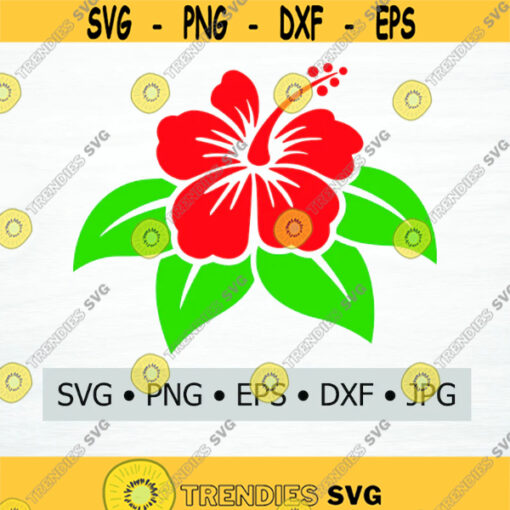 Hibiscus Flower Digital Download SVG EPS PNG jpg dwg Digital Download Digital Vector Clipart Print Vinyl Decal Design 1867