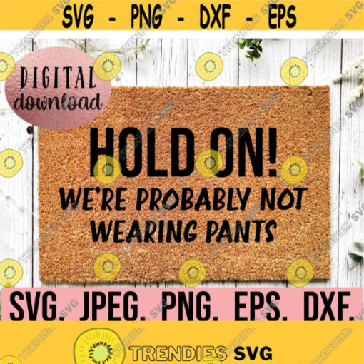 Hold On Were Probably Not Wearing Pants SVG Welcome Doormat svg Cricut File Instant Download DIY Doormat SVG Doormat Stencil png Design 680