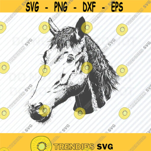Horse Head SVG Files Clipart Horse Face Clip Art Silhouette Vector Images SVG Image For Cricut Farm aminal Eps Png Dxf Horse Logo svg Design 478