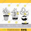 House plants SVG Potted plant SVG bundle Boho plants svg PNG clipart Flower in pot svg files for cricut home Gardening svg
