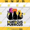 Hurrcus Purrcus Funny cats Halloween svg black cat svg Halloween cat svg files for cricutDesign 244 .jpg