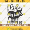 I Like Pig Butts And I Cannot Lie SVG Cut File Cricut Commercial use Instant Download Silhouette Barbecue SVG Design 703