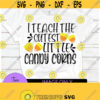 I Teach The Cutest Little Candy Corns Candy Corn svg Halloween Teacher svg Halloween SVG Teacher svgCute Halloween TeacherFall Teacher Design 1056