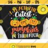 I Teach The Cutest Pumpkins in The Patch Svg Thanksgiving Teacher Svg Fall Teacher Svg Halloween Teacher Svg Design 373 .jpg