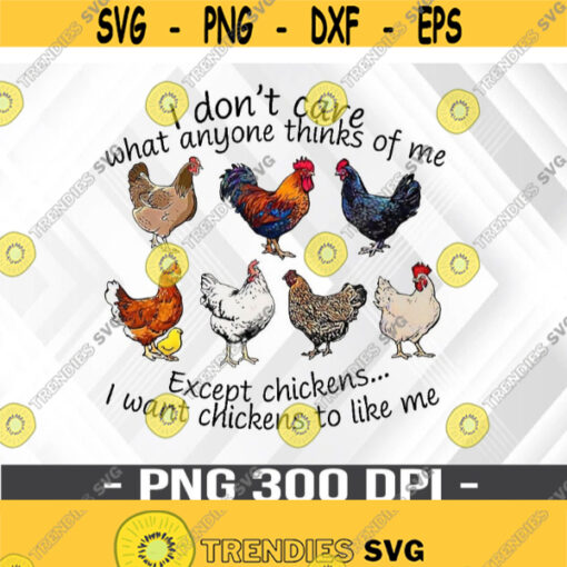I Want Chickens To Like Me Funny Chicken PNG Digital Download Design 351