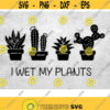 I Wet My Plants svg Hanging Plants svg Succulents Summer Svg Plant Svg png dxf eps Design 52