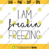 I am Freaking Freezing Decal Files cut files for cricut svg png dxf Design 376