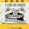 I can go from halo to broomstick in 0.3 seconds. Adult humor. Sarcasm. Funny. Do not test me. I can go from angel to bitch. Digital image. Design 228