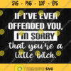 If I Ever Offended You Im Sorry That You Little Bitch Svg