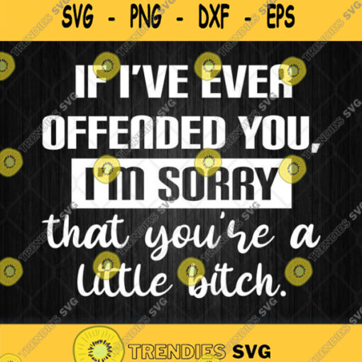 If I Ever Offended You Im Sorry That You Little Bitch Svg