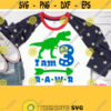 Im 3 Rawr Svg Dinosaur 3rd Birthday Svg Third Birthday Shirt Svg Boy Girl Design for Cricut Silhouette Dxf Png Printable Iron on File Design 545