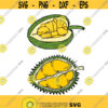 Jackfruit and Durian Fruit Cuttable Design SVG PNG DXF eps Designs Cameo File Silhouette Design 1203