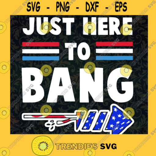 Just Here to Bang SVG 4th of July Fireworks SVG Funny Independence Day Summer tshirt png svg cricut