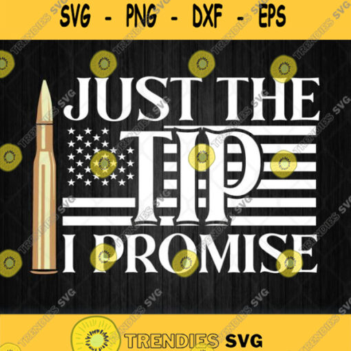 Just The Tip I Promise American Flag Svg
