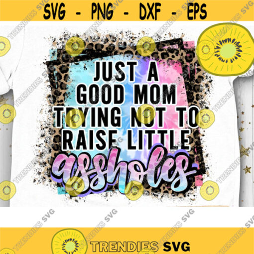 Just a Good Mom PNG Funny Mom Leopard Mom Mom life PNG Boss Mom Mom of Boys Mom of Girls Sublimation Print Design 348 .jpg