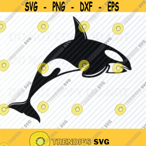 Killer Whale Svg file Images Orca Silhouette Mammal Clipart SVG Image For Cricut Stencil SVG Eps Png Dxf Clip Art marine svg Design 171