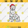 Labrador Christmas Svg Goldie Clipart Dog Santa Hat Christmas Pet Funny Face Head Svg Cutting FileDesign 920