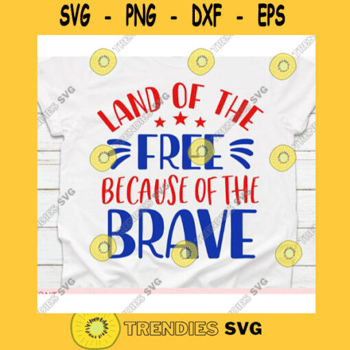 Land of the free because of the brave svg4th of July svgIndependence day svgMemorial day svgPatriotic svgMerica svgAmerica svg