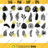 Leaves SVG Tropical Leaves Monstera SVG Leaves SVG Botanical svg svg bundle svg files for cricut
