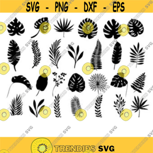Leaves SVG Tropical Leaves Monstera SVG Leaves SVG Botanical svg svg bundle svg files for cricut