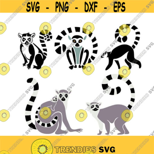 Lemur Animal Cuttable Design SVG PNG DXF eps Designs Cameo File Silhouette Design 225