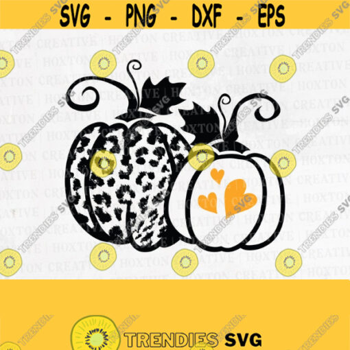 Leopard Pumpkin Svg Halloween Svg Pumpkin Svg Thanksgiving Svg Autumn Svg Fall Svg Designs Cut FilesDesign 452