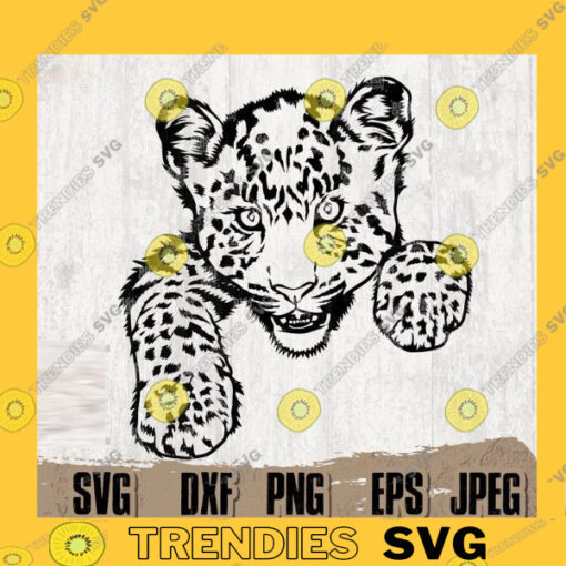 Leopard svg baby Leopard svg Peeking Leopard svg Animal svg Peeking Animal svg Leopard Clipart Leopard Cutfile Digital Download copy