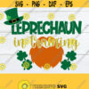 Leprechaun in Training St. Patricks Day Cute St. patricks Day St. Patricks Day SVG Kids St. Patricks Day Print File For Iron On Design 1169
