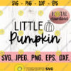 Little Pumpkin Autumn png Fall New Baby Design Cricut Cut File Instant Download Cutest Pumpkin Clipart Baby Thanksgiving svg Design 305