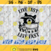 Live Fast Eat Trash SVG Cute Raccoon In Trash Bin Holding Pizza Funny svg png eps dxf digital file Design 104
