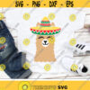 Llama Svg Cinco de Mayo Svg Alpaca Svg Dxf Eps Png Llama Face Svg Fiesta Cut Files Mexican Hat Kids Shirt Design Silhouette Cricut Design 2154 .jpg