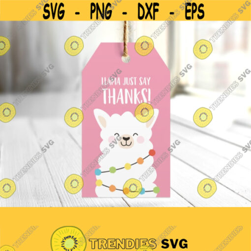 Llama Thank You Tags. Birthday Party Favor Tags. Printable Funny Thanks Cards. Girl Baby Shower Bag Labels Sticker. Digital Treat Gift Decor Design 516