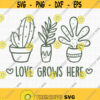 Love Grows Here SVG Garden Sign Svg Patio Decor Svg Home Sign Svg Gardening Svg Farmhouse Spring Sign Svg Spring Shirt Svg Spring Svg Design 181