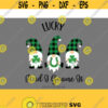 Lucky and i gnome it svg st patricks day gnomes svg gnomes svg st patricks day svg svg for CriCut silhouette svg jpg png dxf Design 439