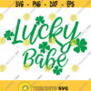 Lucky babe svg baby svg Saint Patricks day svg clover svg png dxf Cutting files Cricut Cute svg designs print for t shirt Design 386