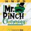Mister Pinch Charming Boys St. Patricks Day St. Patricks Day Cute St. Patricks Day Printable Image for Iron On Transfer SVG Cut File Design 681
