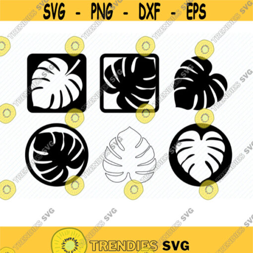 Monstera Svg. Monstera Png. Caoster Svg. Leaves Svg. Monstera Silhouette. Monstera Decor. Monstera Cricut. Cutting file. Stencil. Png. Dxf.