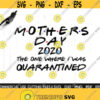 Mothers Day SVG 2021 SVG The One Where I Was Quarantined Svg Quarantine Svg Mom Svg Mother Svg Cricut Silhouette Design 5