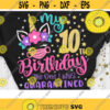 My 10th Birthday The one I was Quarantined Svg Unicorn Quarantine Svg Unicorn Birthday Quarantined Cut File Svg Dxf Eps Png Design 1110 .jpg