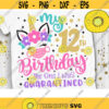 My 12th Birthday The one I was Quarantined Svg Unicorn Quarantine Svg Unicorn Birthday Quarantined Cut File Svg Dxf Eps Png Design 1030 .jpg