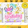 My 2nd Birthday The one I was Quarantined Svg Unicorn Quarantine Svg Unicorn Birthday Quarantined Cut File Svg Dxf Eps Png Design 713 .jpg