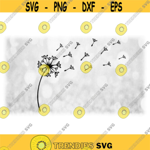 Nature Clipart Black Dried Dandelion Flower with Seeds Blowing off and into the Wind on Transparent Background Digital Download SVG PNG Design 624