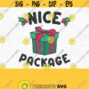 Nice Package PNG Print Files Sublimation Trendy Christmas Funny Christmas Christmas Puns Adult Humor Present Well Hung Cold As Balls Design 328