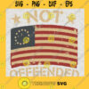 Not Offeended Svg America Flag Svg 4th Of July Svg Digital Download Svg Dxf Png Eps Pdf