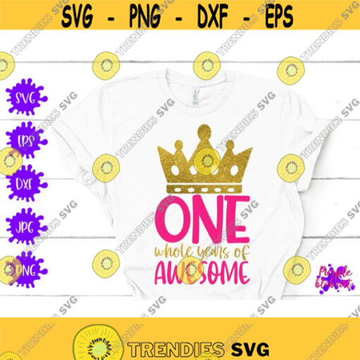 One whole year of awesome SVG First Birthday SVG 1st Birthday SVG Baby Boy first birthday Turning 1 1st Birthday Shirt Outfit One year old Design 57