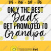 Only The Best Dads Get Promoted To Grandpa Svg Fathers Day Svg Cut File New Dad Svg For ShirtNew Daddy SvgGrandpa SvgBest Dad Ever Svg Design 544